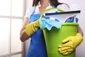 servicio domestico