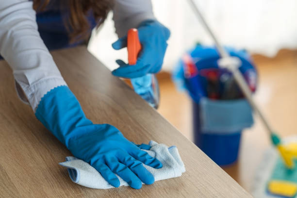 beneficios servicio domestico